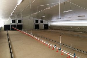 Panel Falso Techo Agrícola